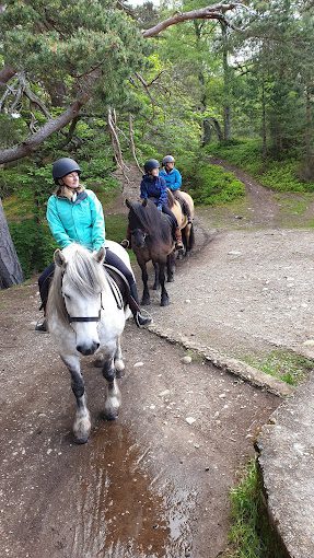 Pony Trekking